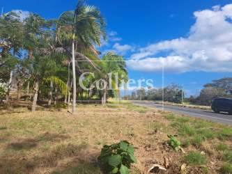 Commercial Land for Sale on Pan-American Highway El Roble Aguadulce