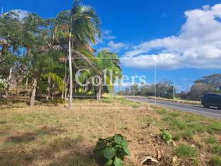 Land for Sale in El Roble - 0 bedrooms