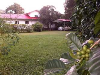 Lush gardens with mature trees and coffee plants at Casa Romero Boquete Panama
