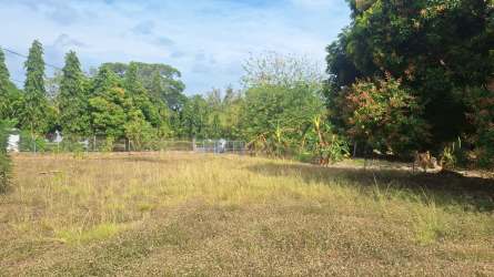 Vacant lot with mature trees and natural landscape in Sajalices Panama