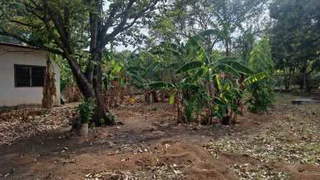 Land with two houses for Sale in Capira - 2 bedrooms