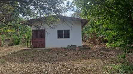 Large open grassy area with mature trees on countryside land in Panama