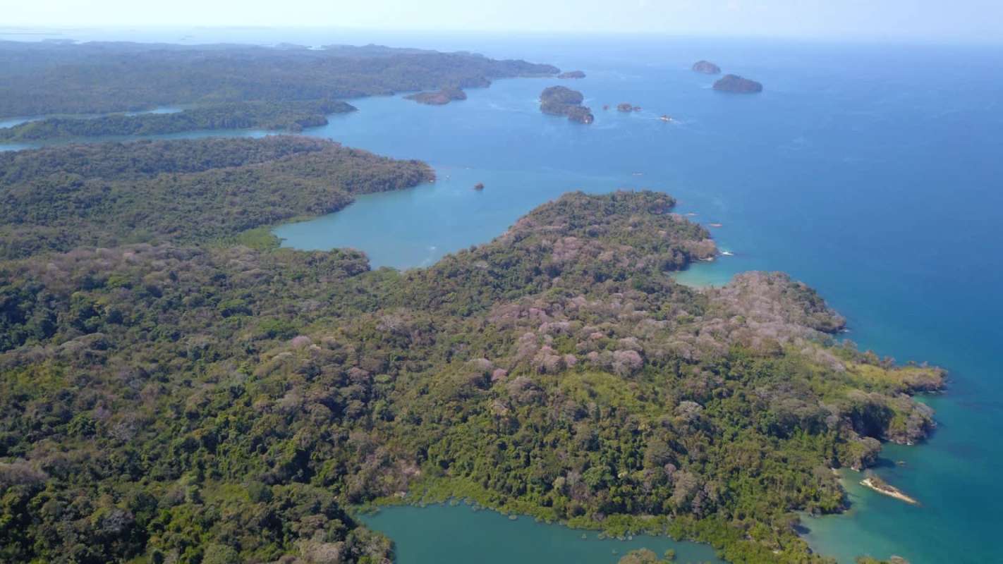 Natural tropical island coastline ocean forest Isla del Rey Panama