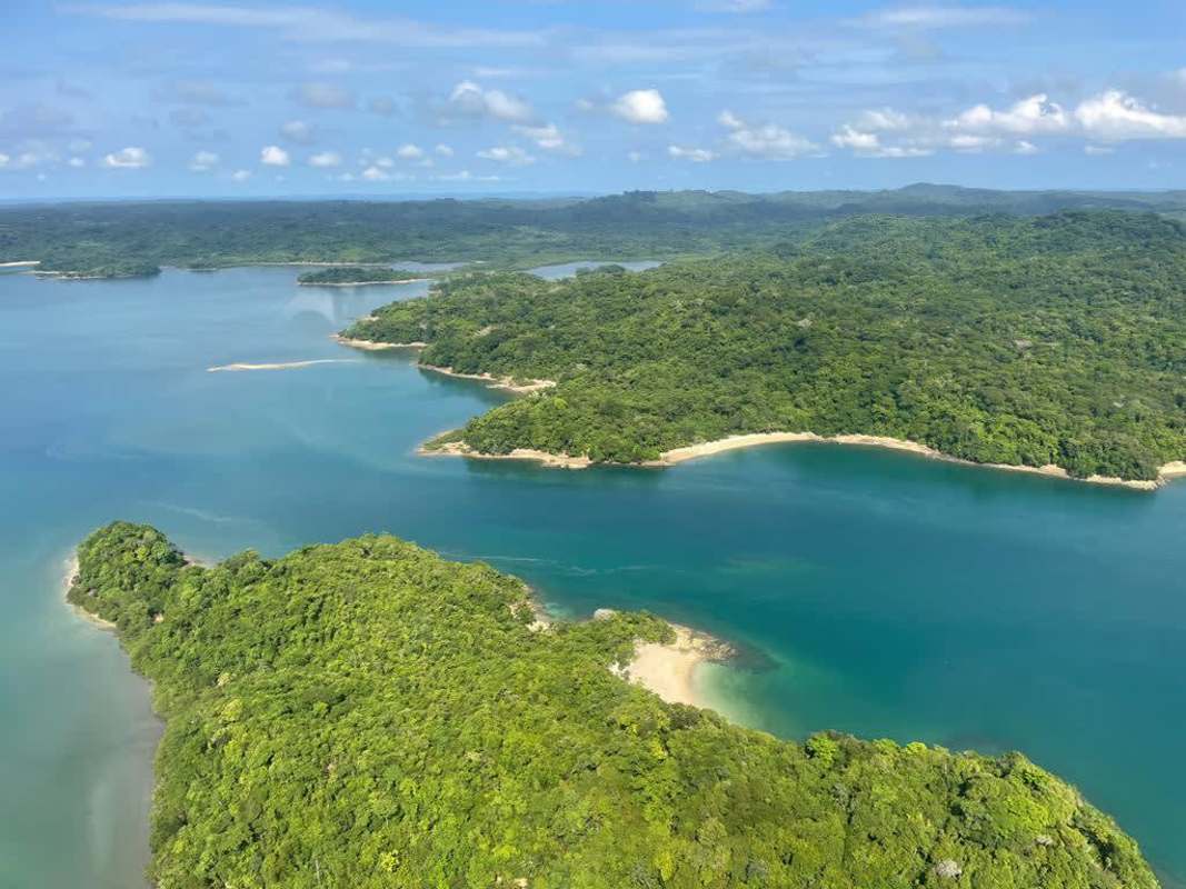 Natural coastline white sand turquoise ocean Isla del Rey Panama island for sale