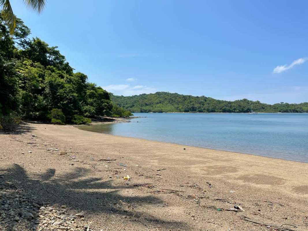 Lush island forest beaches turquoise ocean Isla del Rey investment Panama