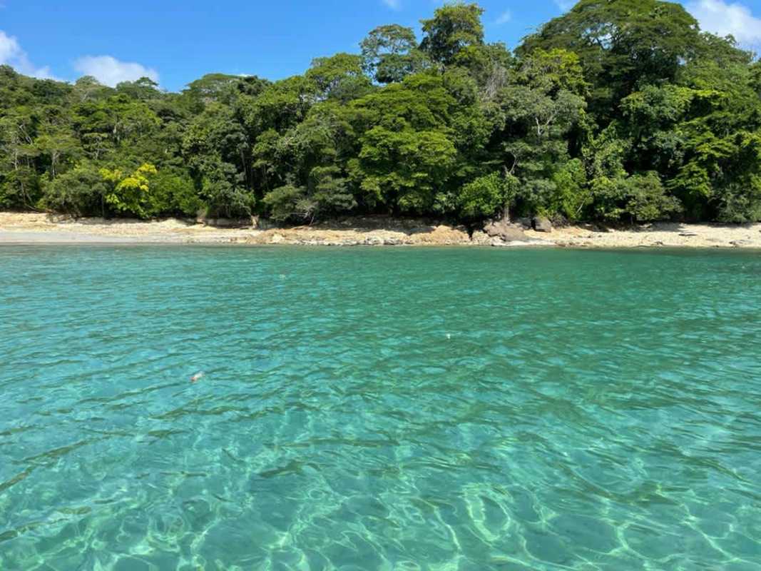 Turquoise ocean and white beach with jungle Isla del Rey Panama