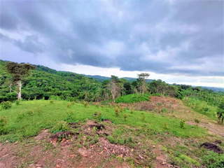 Land for Sale in Las Mañanitas - 0 bedrooms