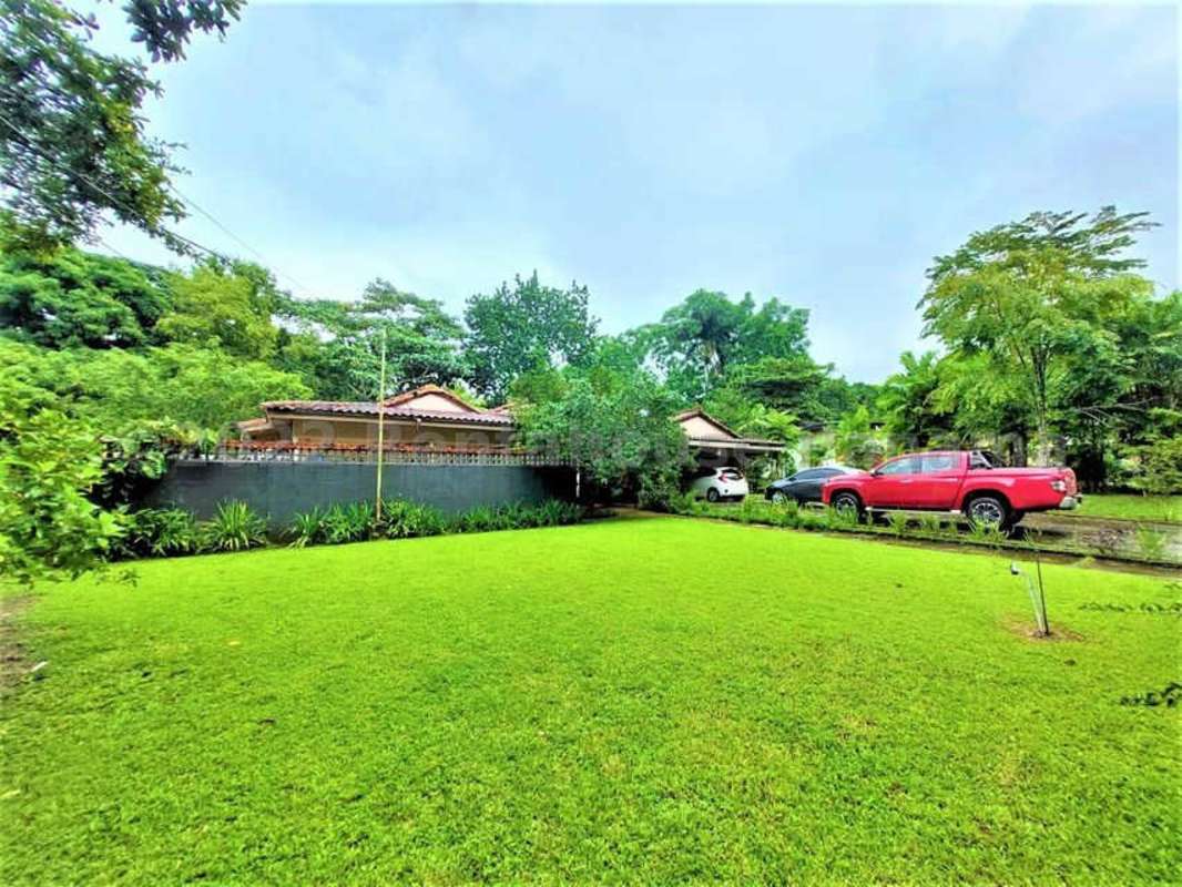 Large green yard with mature trees, fence, and covered patio Las Cumbres Panama