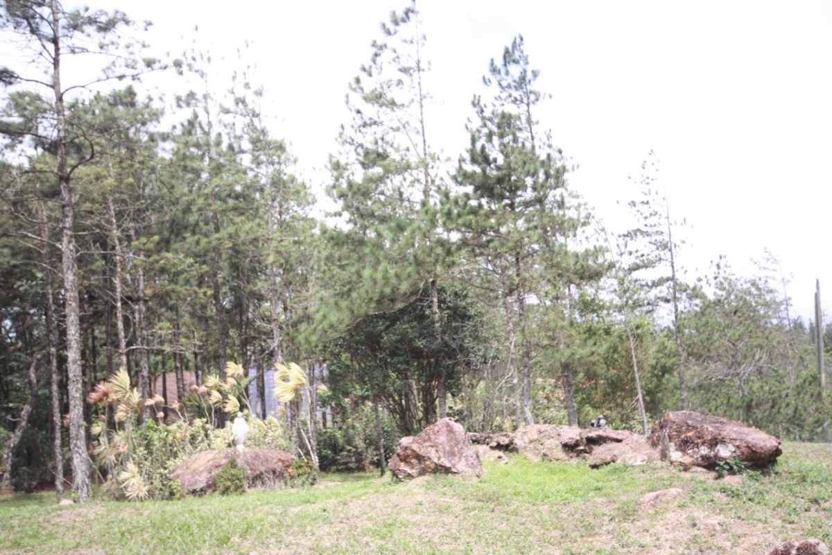 Rustic attic interior with wood ceiling, beams and natural light mountain house in Cerro Azul Panama