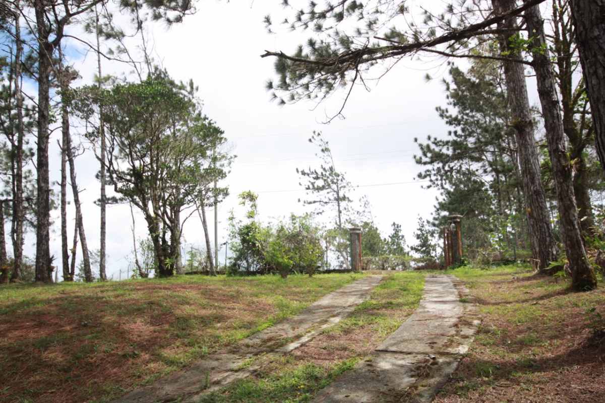 A-frame mountain house with chimney and forest setting for sale in Cerro Azul