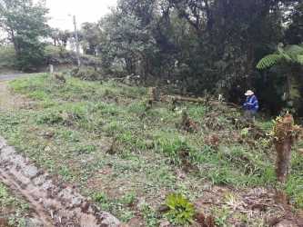 Sloped plot with vegetation and tree cover mountain land Altos del María Panama