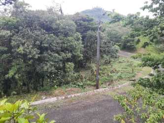 Paved road with utility pole and forest along mountain land in Altos del María