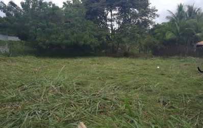 Cleared flat residential lot with mature shade trees near Coronado beach