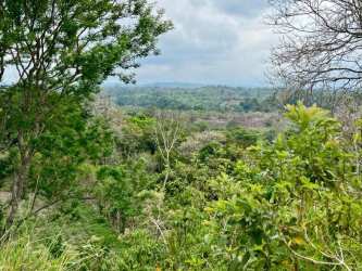 Fertile green rural land on gentle rolling hills near Volcán in Chiriquí province