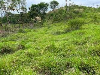 Elevated lot with gentle hills ideal for rural home with scenic views in Chiriquí