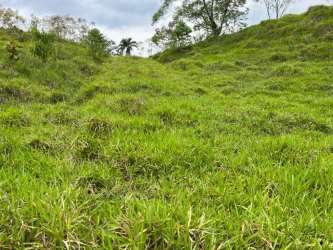 1.2 hectare lush countryside farmland with distant mountain views for sale Panama