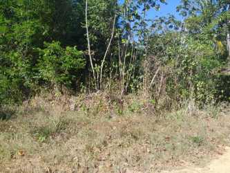 Official cadastral map black and white with highlighted parcel borders and adjacent plots in Veraguas Panama