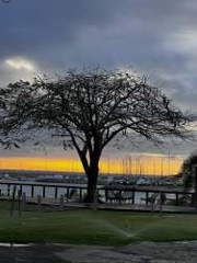 House for Sale in San Carlos - 3 bedrooms