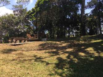 Wooded outdoor picnic area with stone benches and mature trees Altos del María Panama