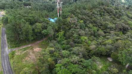 Aerial of dense forested hill with telecom antenna and access road Altos del María Panama