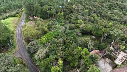 Aerial view of dense forest with asphalt road and structures Altos del María Panama