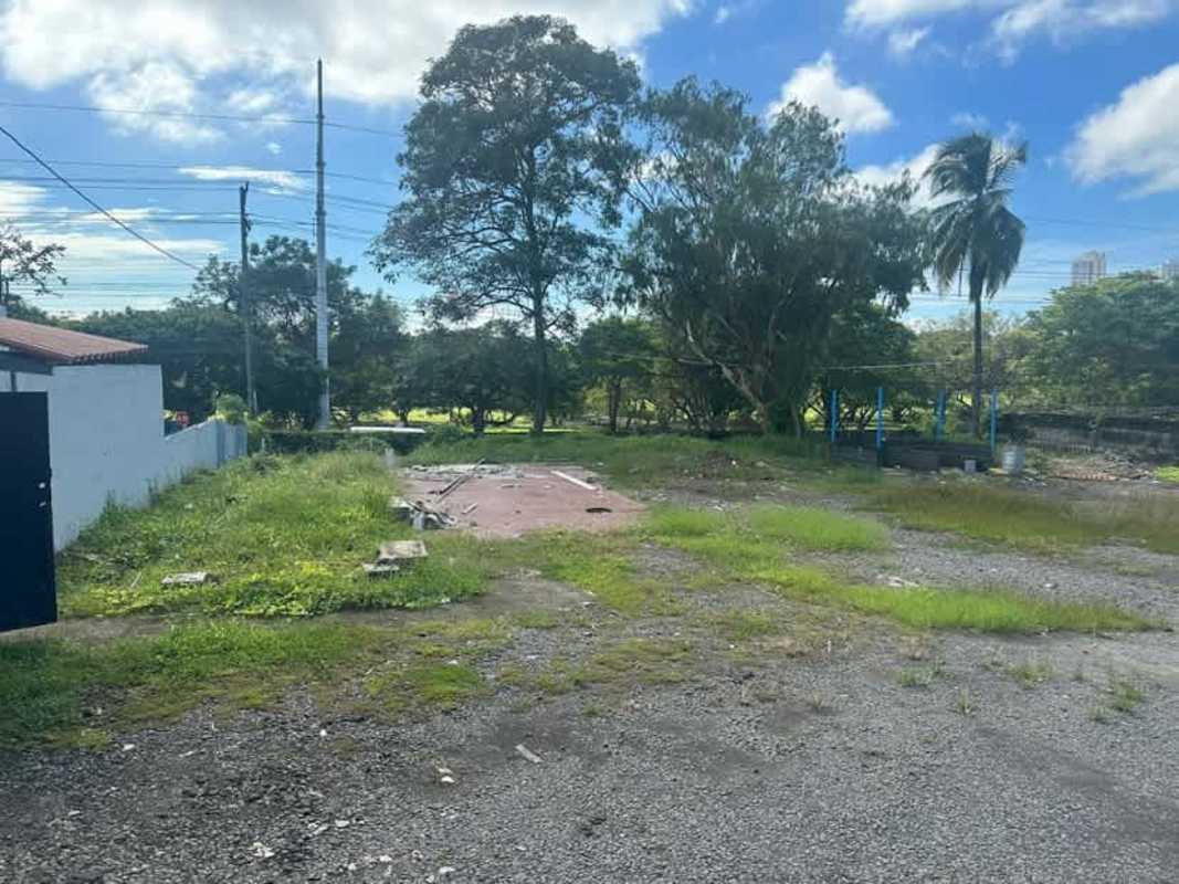 Vacant lot with partial concrete, grass, utility poles, and tree lined edges in Parque Lefevre Panama