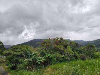 20,000 m² Scenic Land for Luxury Villas or Hotel in Bajo Boquete - View 3