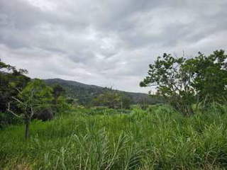 Property for rent in Panama City - 0 bedrooms