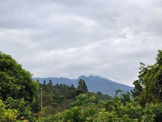 20,000 m² Scenic Land for Luxury Villas or Hotel in Bajo Boquete - View 4