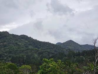 20,000 m² Scenic Land for Luxury Villas or Hotel in Bajo Boquete - View 2