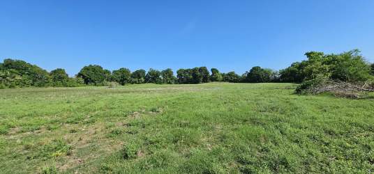Open grassy pasture on countryside farm with tree lines in Alanje