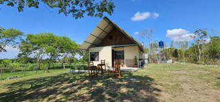 Agricultural Land for Sale in Alanje - 0 bedrooms