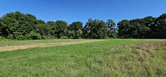 Wide green farmland with scattered trees in Alanje countryside Panama