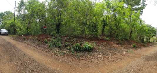Forested rural corner lot with dense green trees in Soná Veraguas for rural home or agriculture