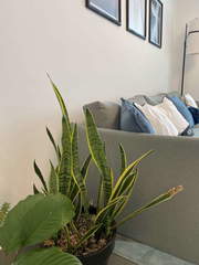 Apartment for Sale in Bella Vista - 3 bedrooms