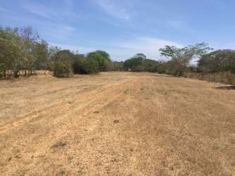 Grassy vacant land 1.7 hectares with rural landscape Los Santos Panama