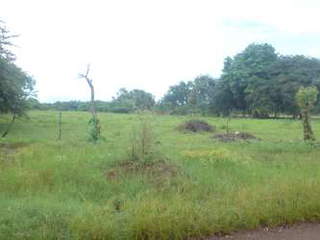 Land for Sale in Tonosí - 0 bedrooms