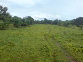 17,000 sqm rural plot with trees flat terrain La Villa de Los Santos Panama