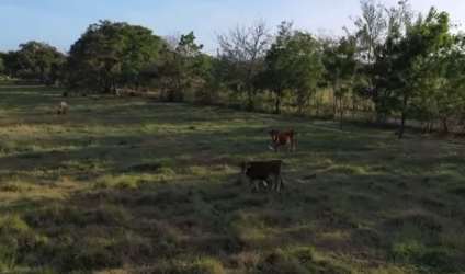 Farmhouse with covered terrace, garden area, and mature landscaping in Panama for sale