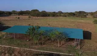 Farm / Agricultural Land for Sale in Los Santos - 4 bedrooms