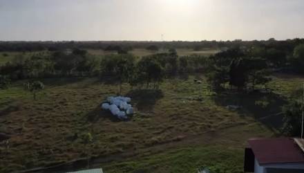 Wide view of fenced grass pastures and mature trees on Panama cattle farm for sale