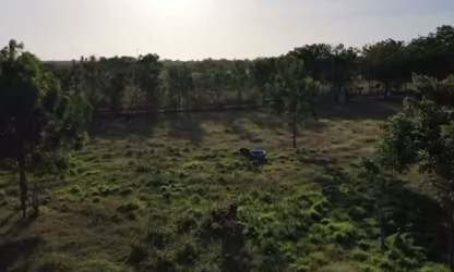 Barn with tube steel corral, milking equipment and shelter Los Santos ranch for sale