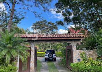 Cozy rustic living room with stone fireplace, wood ceiling, garden view Panama property for sale