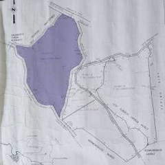 Land for Sale in San José - 0 bedrooms