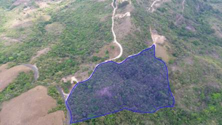 Expansive hillside parcel outlined with forest and valley views, Laguna de San Carlos Panama