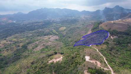 Hilly terrain with mountain views and lush forest on Laguna San Carlos land for sale in Panama