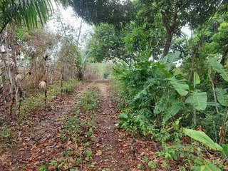 Land for Sale in Ernesto Cordoba Campos - 0 bedrooms