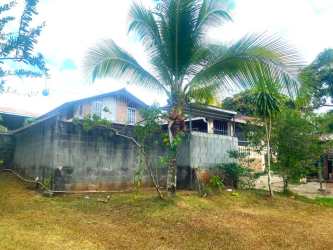 Exterior yard view with mature tropical landscaping at rural estate Arraiján Panama