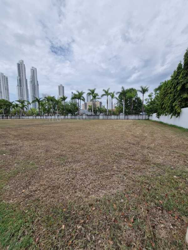 Wide vacant lot with city views surrounded by palm trees in Santa María Golf community Panama