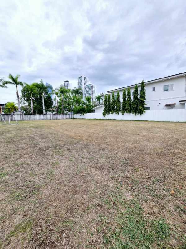 Large open grassy plot surrounded by palm trees and residential homes in Santa María Golf Costa del Este